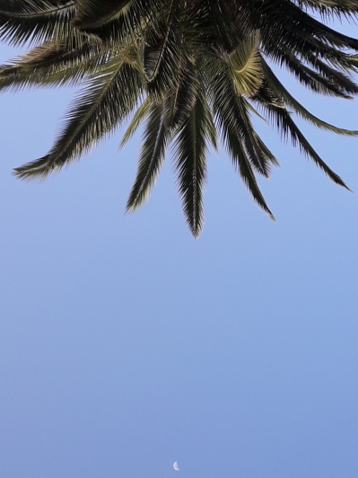 20190114_172943