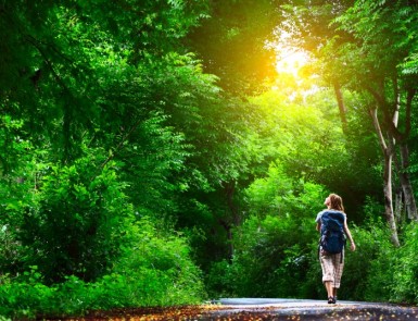 Soul-Connection-to-Nature-700x538